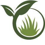 Rose Bush Planting Pros